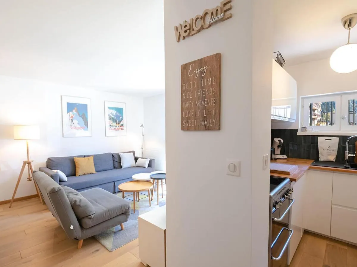 Appartement Avec Terrasse A Chamonix, Parking Et Wifi - Fr-1-343-230 Chamonix